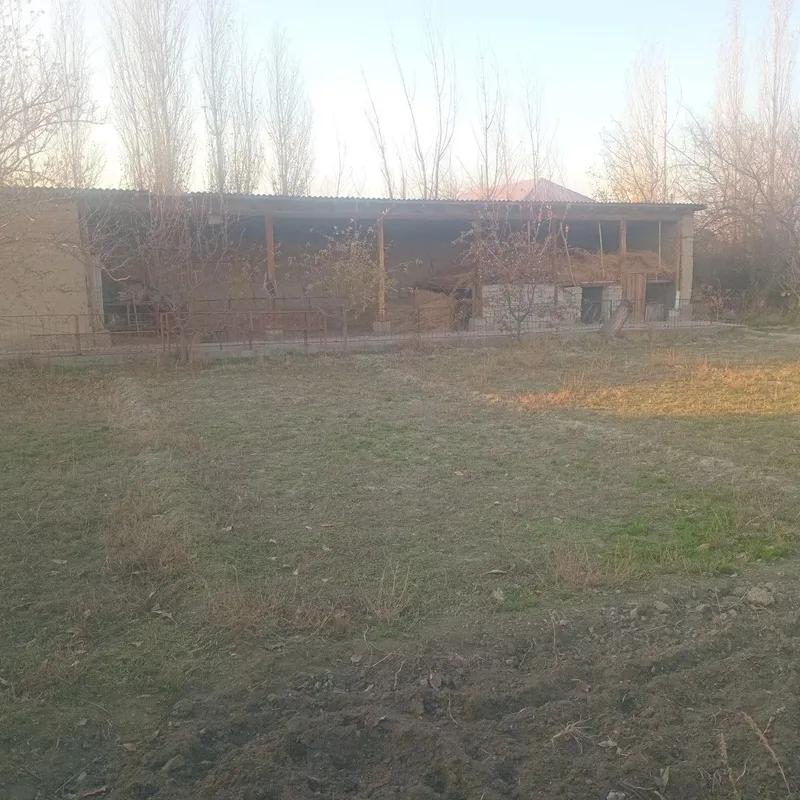 Jomboy tumani Zarafshon mahallasida Hovli sotiladi Jomboy tumani — фото 1