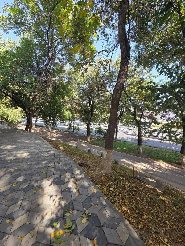 Mirzo Ulug‘bek tumanida 60 m² bino ijarasi · ID 218 3