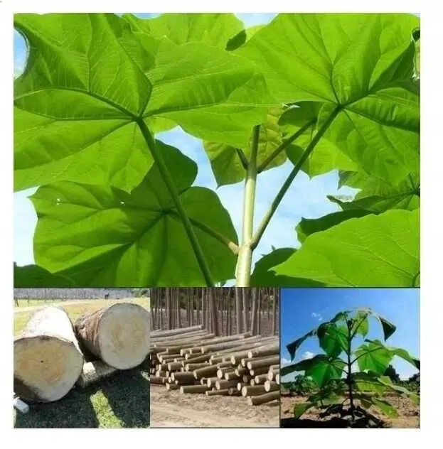 Povlonya повлания — фото 4