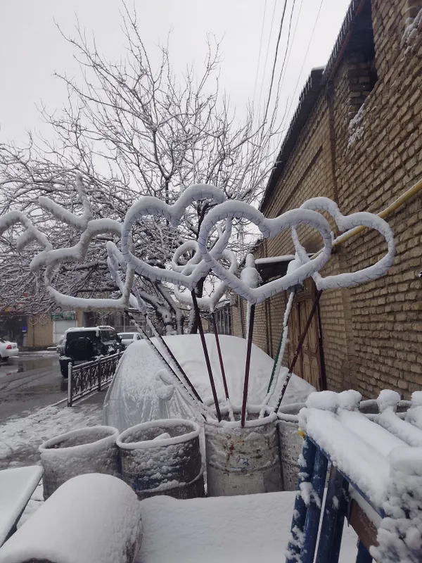 Сдам в аренду Mashal 2