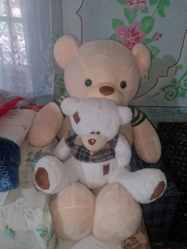 tedy ayiqlar sotilar 2