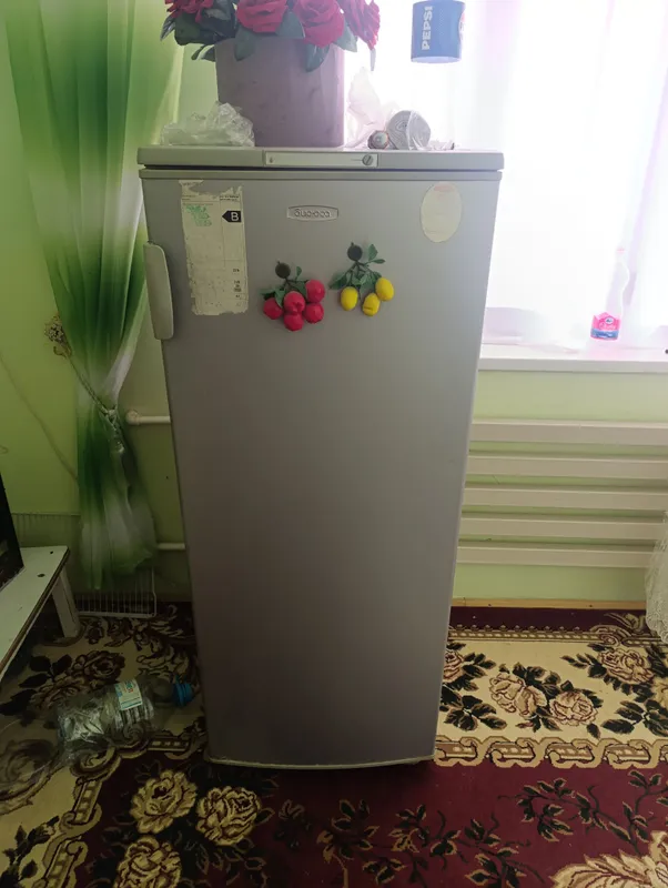 Брюса музлатгич