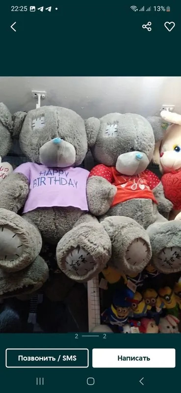 Teddi Teddy