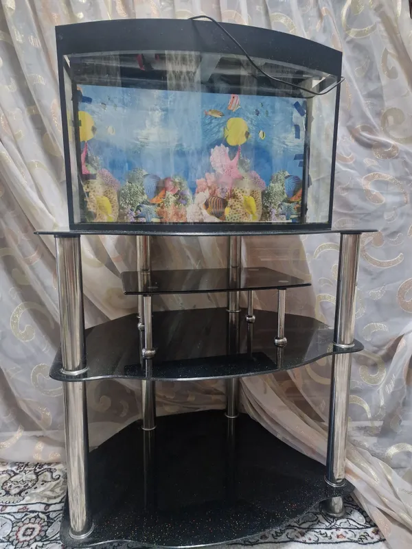 Shisha taglikli akvarium 5 Shisha taglikli akvarium 5