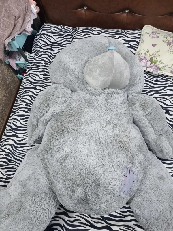 bear🧸 4 bear🧸 4