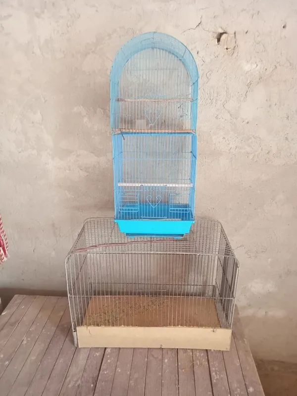 Qafas sotiladi.3 ta bor Qafas sotiladi.3 ta bor