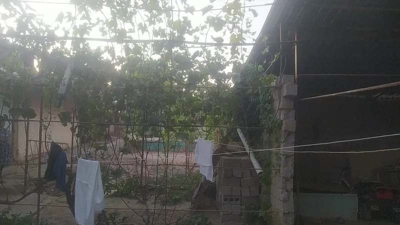 Hovli sotiladi 8 sotix 5 Hovli sotiladi 8 sotix 5