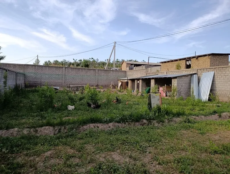 Продам дом с участком 10 соток в экологически чистом районе — фото 4