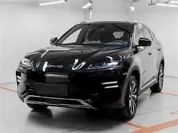 byd yuan plus full 510km podzakaz