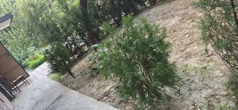 Ландшафтный для сада 4