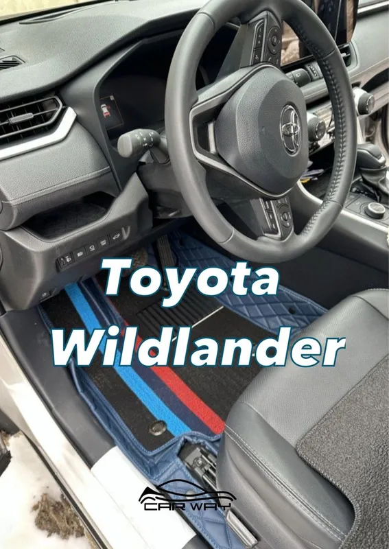 9D polik / коврики для Toyota Wildlander