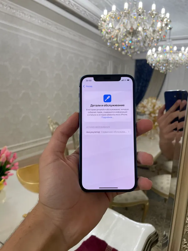 iPhone 12 mini 6