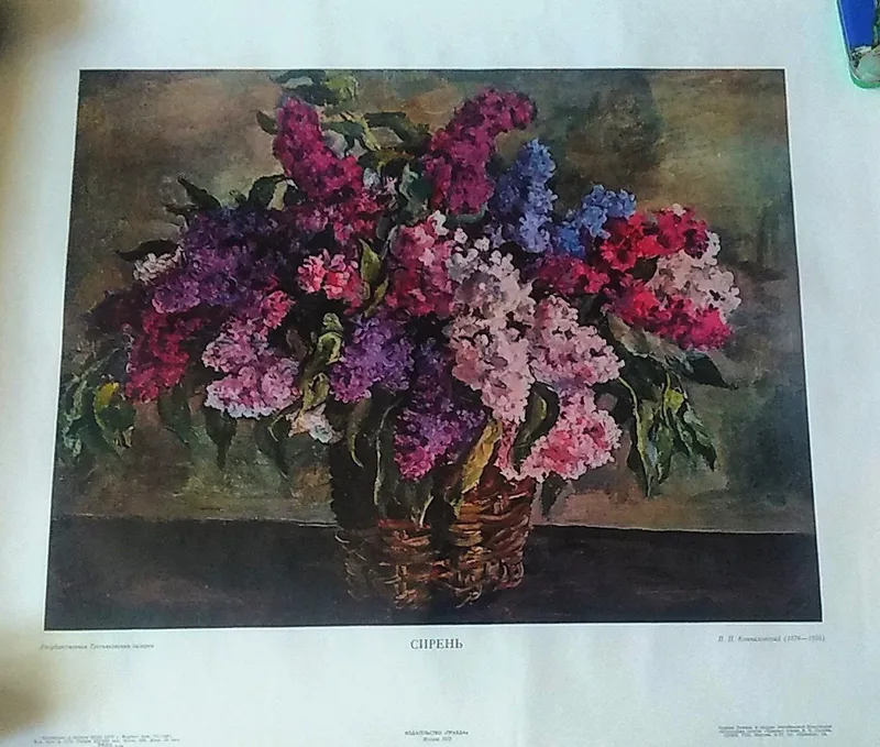 Картины