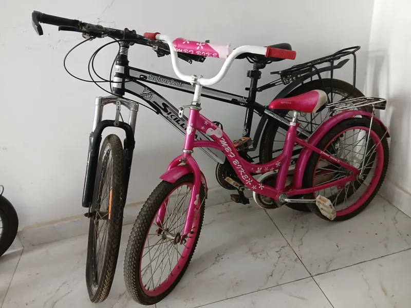 O‘g‘il bola (o‘smir) va qiz bola uchun velosipedlar 2 O‘g‘il bola (o‘smir) va qiz bola uchun velosipedlar 2