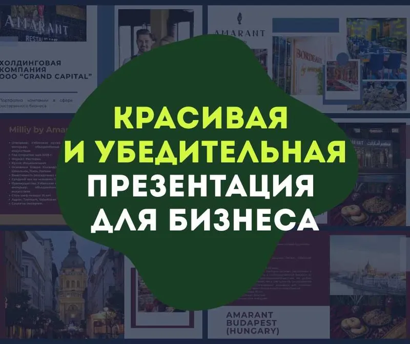 Презентация проекта для привлечения финансирования