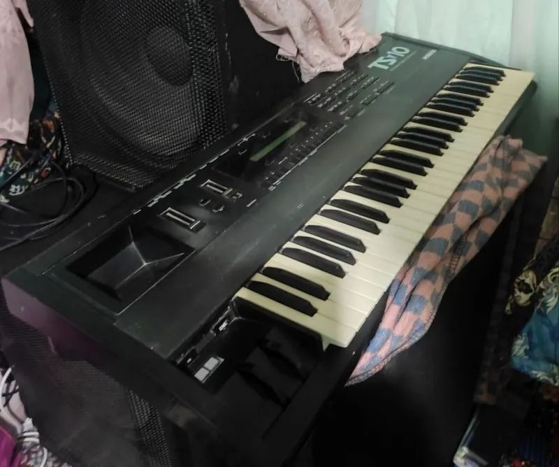 Ensonic ts 10 3.10 vrsya