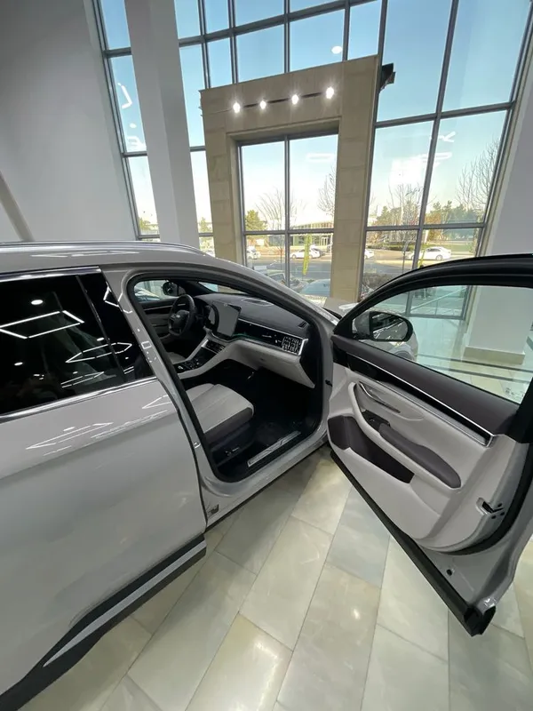 BYD chempion smart /ev — фото 4