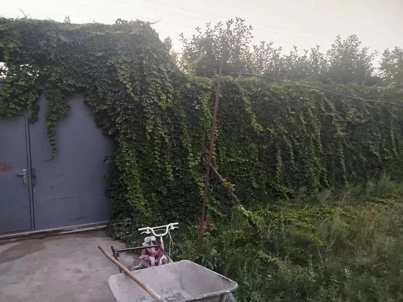 Dacha Toshkent viloyati kelesda 7 Dacha Toshkent viloyati kelesda 7