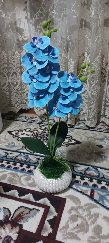 NAFIS ORXIDEYA SUN'IY GULLARI — фото 3