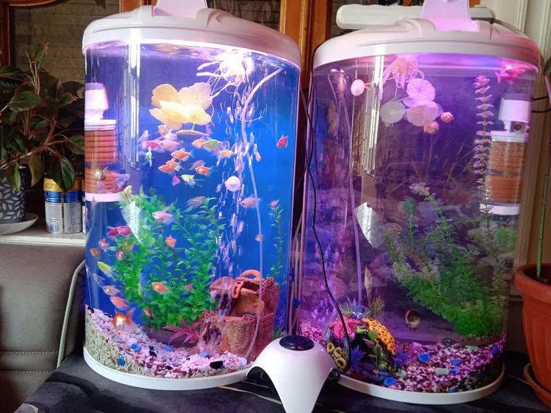 Akvarium va baliqlar bilan 4 Akvarium va baliqlar bilan 4