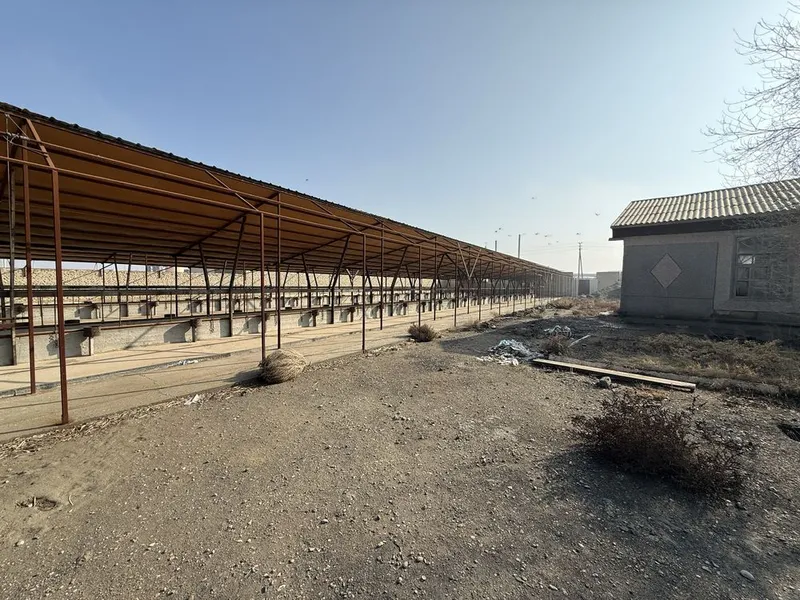 келишамиз срочно Мол ферма сотилады 57000 kv m , skladi bor — фото 6