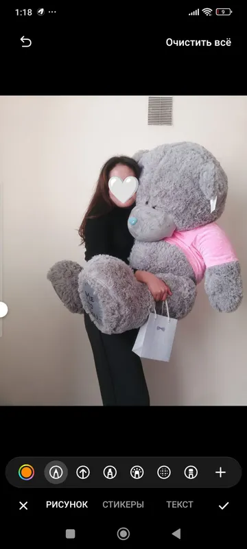 Teddy sotiladi 2