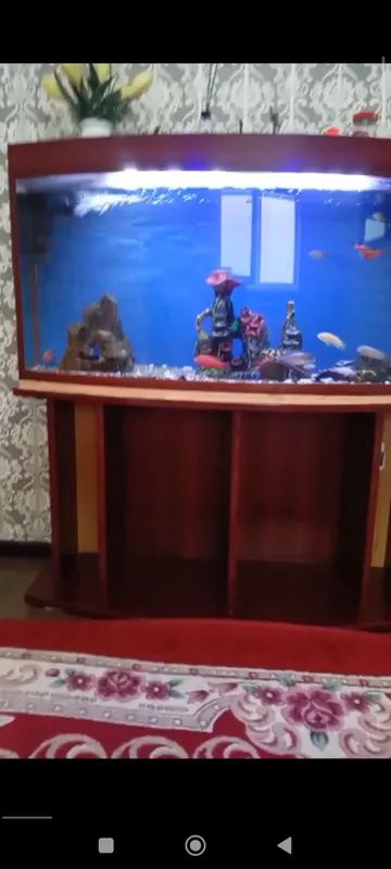 Продаётся аквариум новый 170 $ 4 Продаётся аквариум новый 170 $ 4
