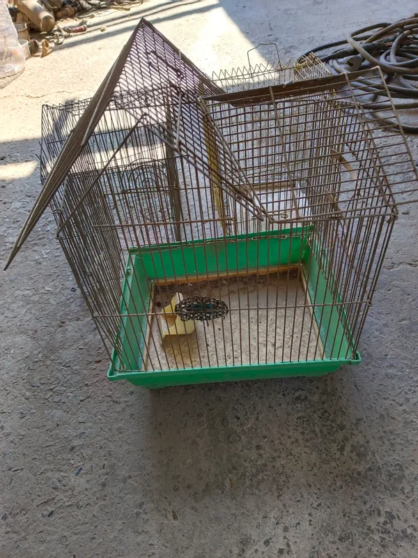 Клетки для птичек 1 Клетки для птичек 1