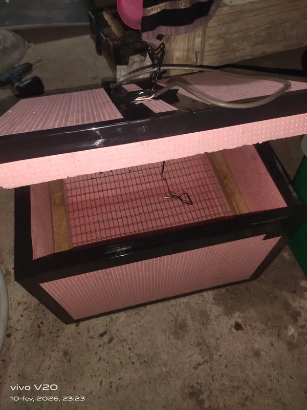 inkubator