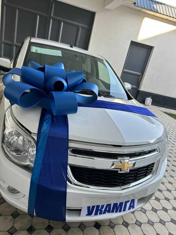 Bantik, lenta Avtobantik бант для машины Автабант лента 3