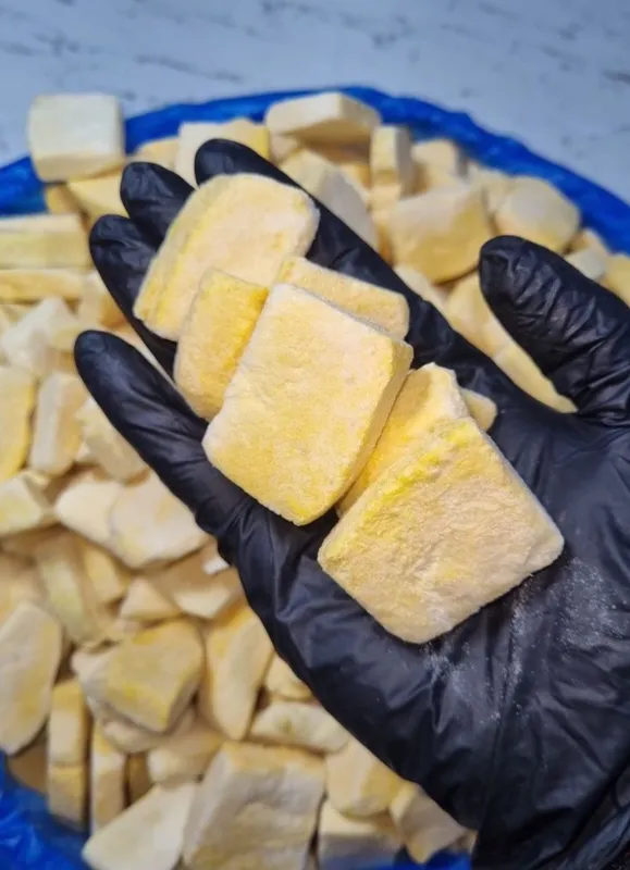Манго сублимированный сублимат mango muzlatilgan quritilgan mango фрук — фото 1
