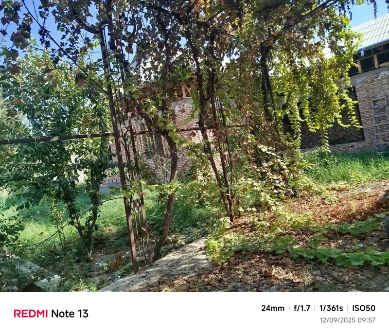 5 sotixli 5 ta xona plus oshxona sotiladi. — фото 4