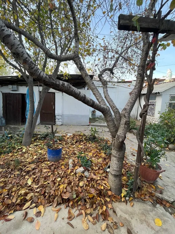 Продам дом на Саракульке — фото 5