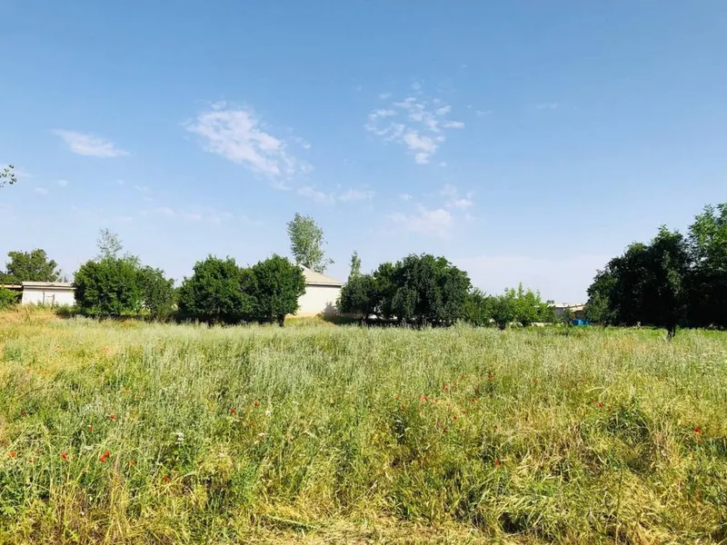 HOVLI SOTILADI 24sotix 8xonali yashashga tayyor 1
