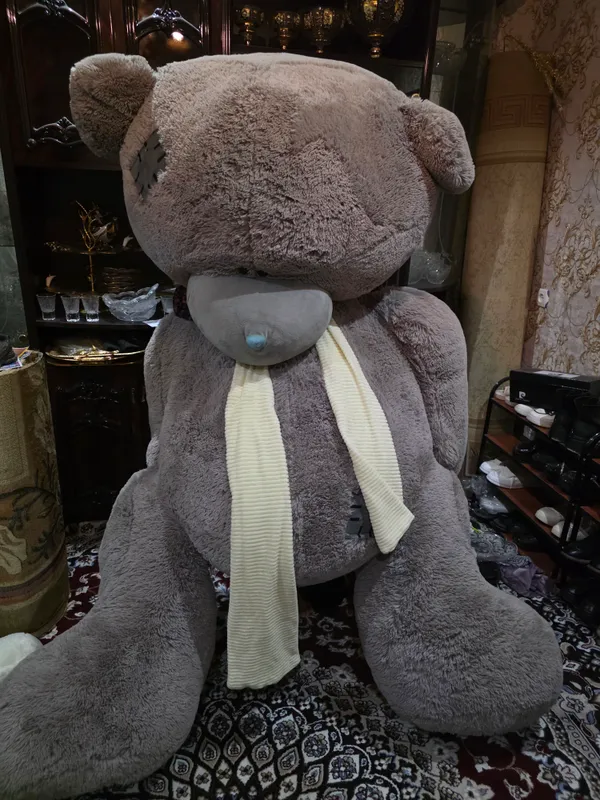 Teddy ayiq