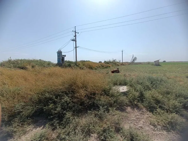 Yer sotiladi "Sherobod" mahallasi, Zang post Molbozorgacha 5 km — фото 4 Yer sotiladi "Sherobod" mahallasi, Zang post Molbozorgacha 5 km — фото 4