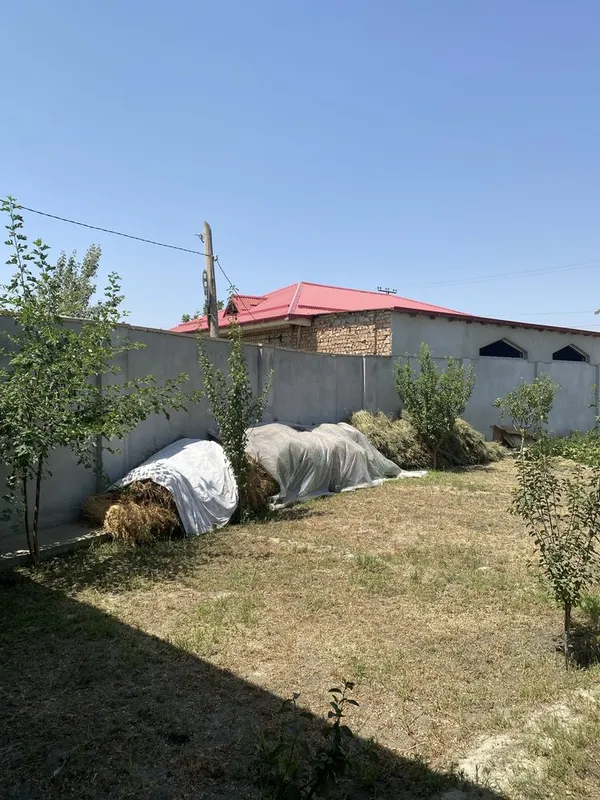 Beda ot bor manzil samarqand shaxar Beda ot bor manzil samarqand shaxar