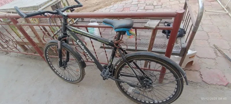 Velosiped kattalar uchun