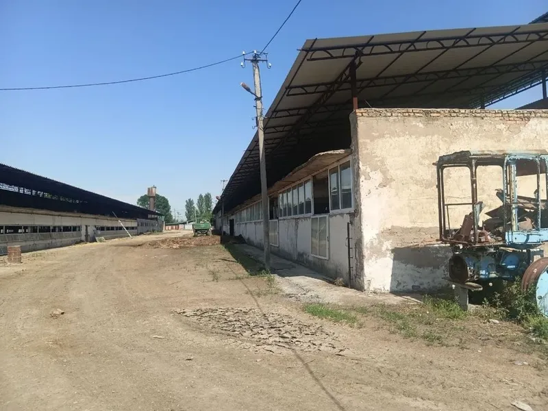 Tayyor sharoitliy ferma 6 Tayyor sharoitliy ferma 6