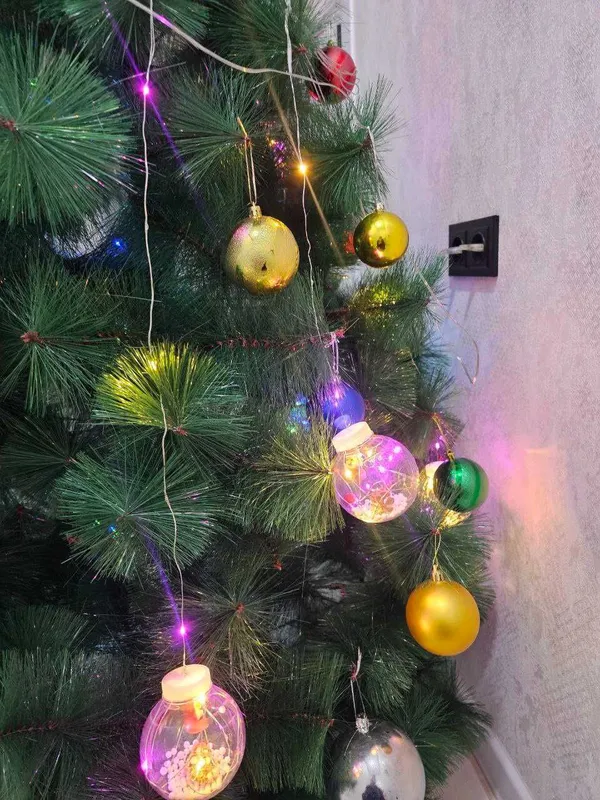 Archa arzon narxda va srochni sotiladi 4 Archa arzon narxda va srochni sotiladi 4