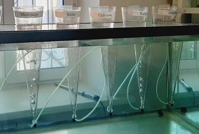 Artemiya cistasıga dastlabki qayta ishlash va saqlash (+Laboratoriya) 7 Artemiya cistasıga dastlabki qayta ishlash va saqlash (+Laboratoriya) 7