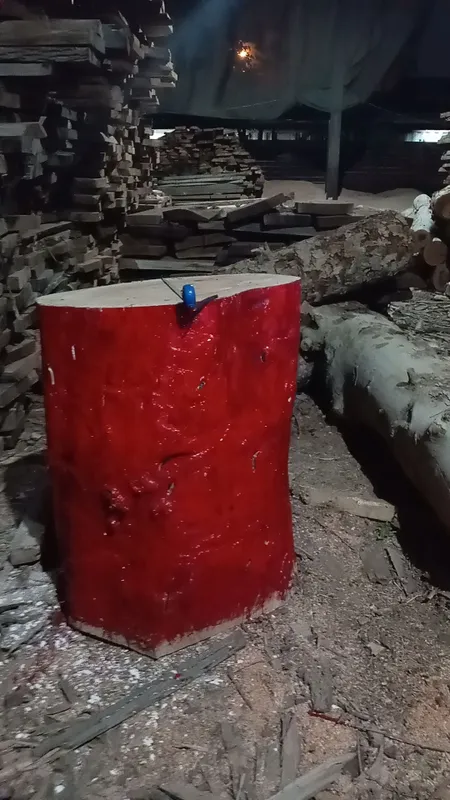 Goshtonka sotladi 6