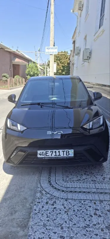 Byd seagull. Byd seagull.