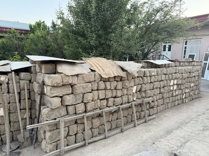 Лой блк гишт сотилади