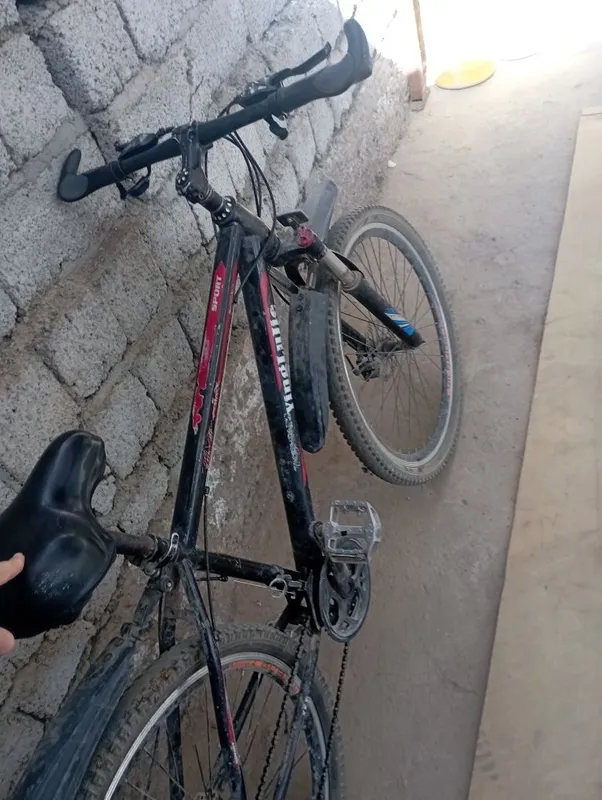 Velik sotiladi narxi 650000 ming soʻm