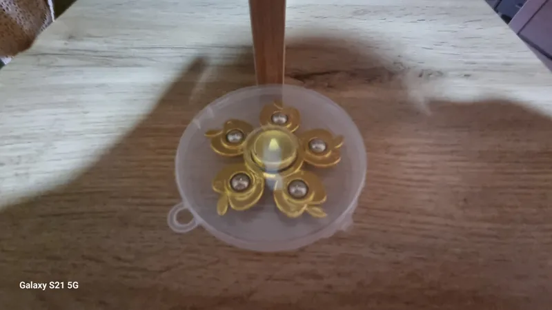 spinder