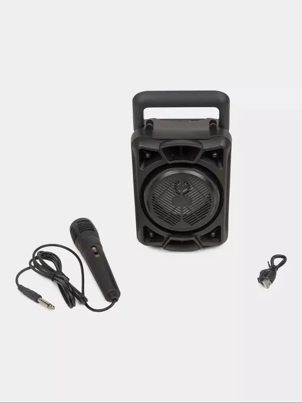 Karaoke kalonka Bluetooth ZQS 6166, 14100 mikrofon — фото 4