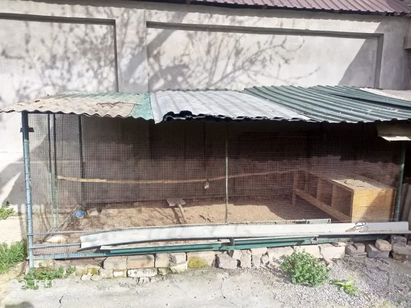 К,афас сотилади