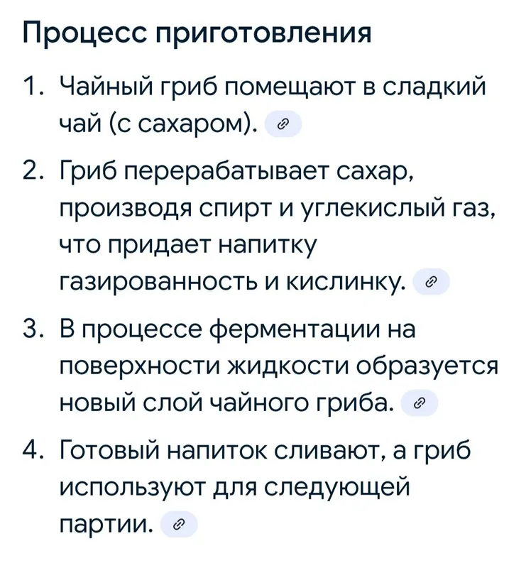 Чайный гриб - Комбуча — фото 4