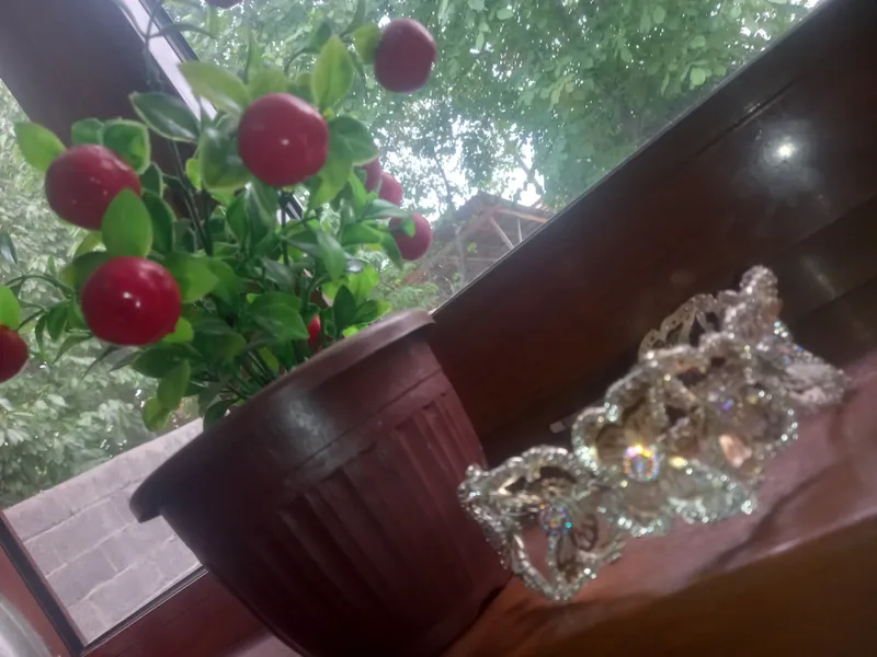 Diadema qizlarimiz uchun sotiladi
